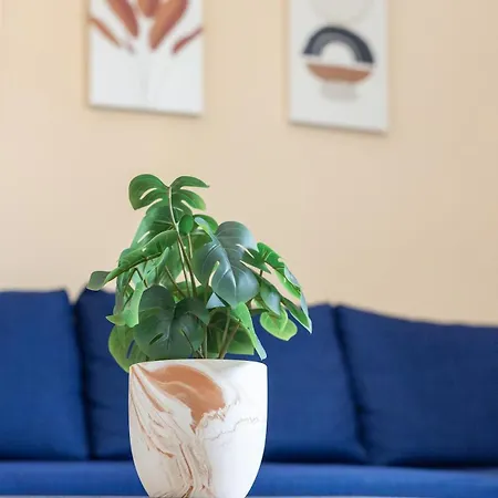 Adorable Modern 3