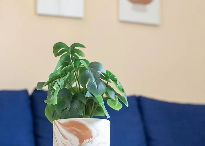 Adorable Modern 3